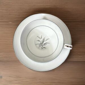 Noritake China Shirley 5774 Flat Cup Saucer Set | Japan